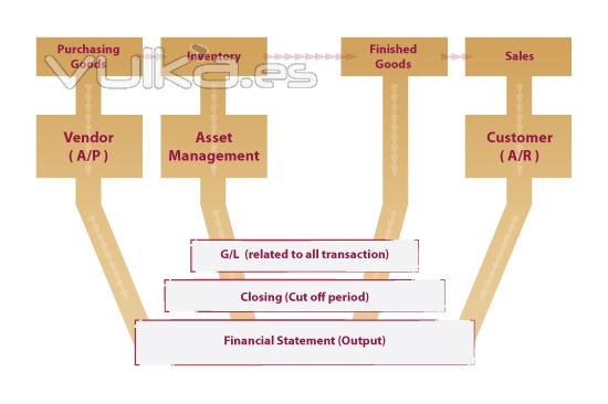 Expertos en SAP Finanzas (SAP FI)