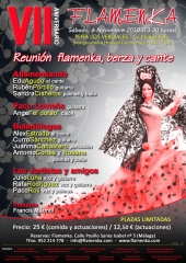 Asesoramiento de espectaculos cuadros flamencos, coros rocieros