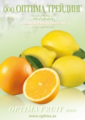 Fruta - foto estudios f & g