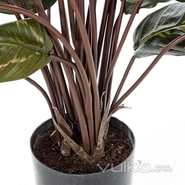 Planta artificial calathea natural 65 en lallimona.com (detalle 1)