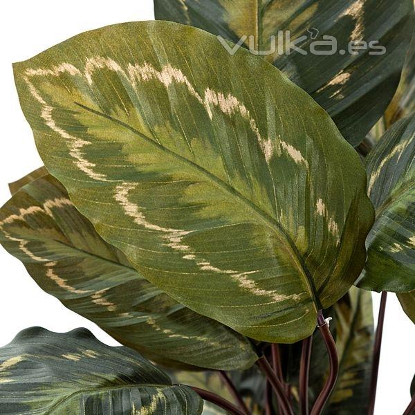 Planta artificial calathea natural 65 en lallimona.com (detalle 2)