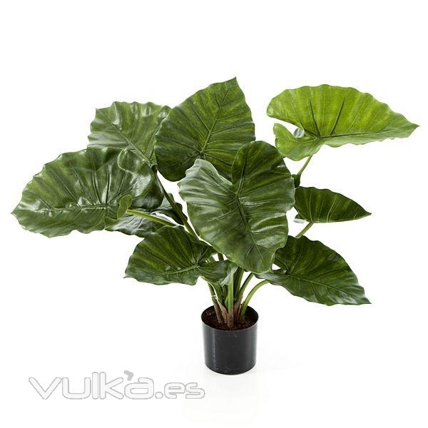 Planta artificial alocasia calidora 63 en lallimona.com