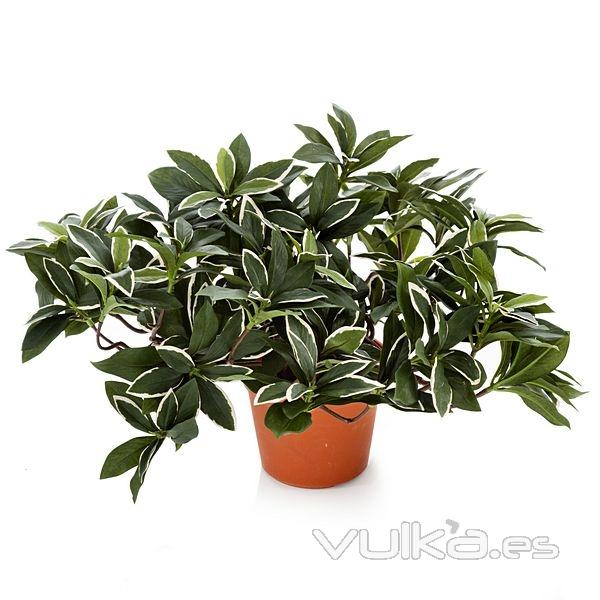 Planta artificial euonymus 30 en lallimona.com