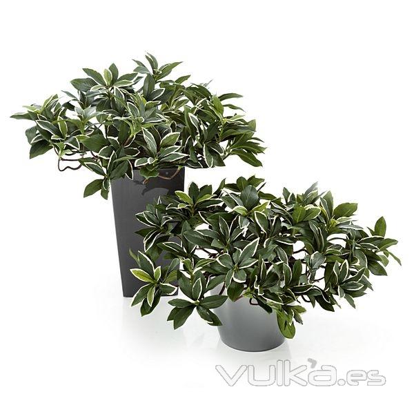 Planta artificial euonymus 30 en lallimona.com (detalle 2)