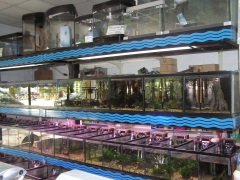 BIOMASCOTA
