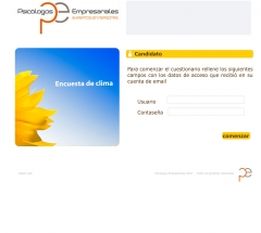 Diseño web PE