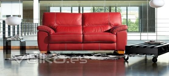 Promoción especial en sofas de Piel 