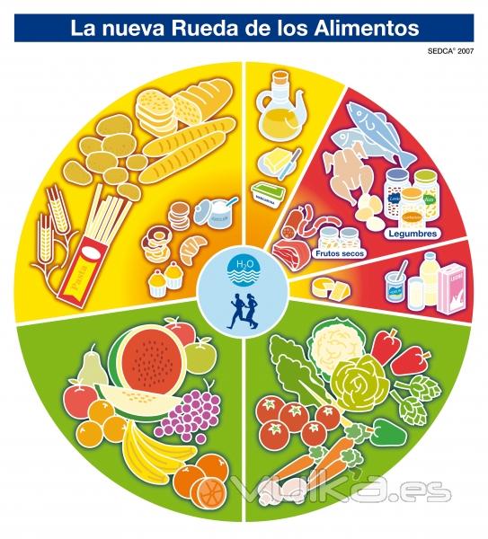 nueva rueda alimentaria