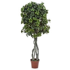 Arbol artificial pittosporum 168 en lallimonacom