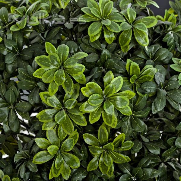 Arbol artificial pittosporum 168 en lallimona.com (detalle 1)