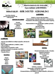 Nuestros servicios