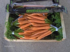 Zanahorias manojos chipiona