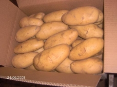 Patata spunta special chipiona- cajas 10 kgs