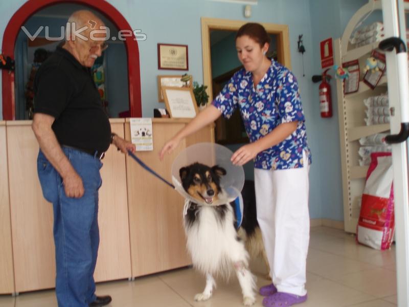 La recepcionista entrega  a Pancho una vez dado de alta de su torsion pulmonar