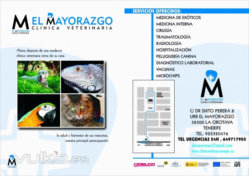 Clinica Veterinaria El Mayorazgo