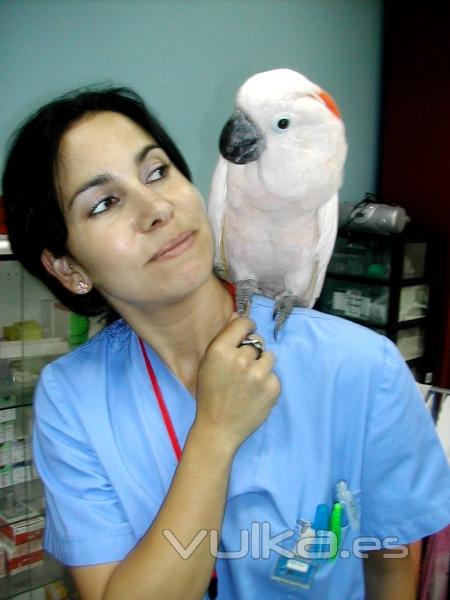 Cande, nuestra auxiliar experta en aves. Adiestra