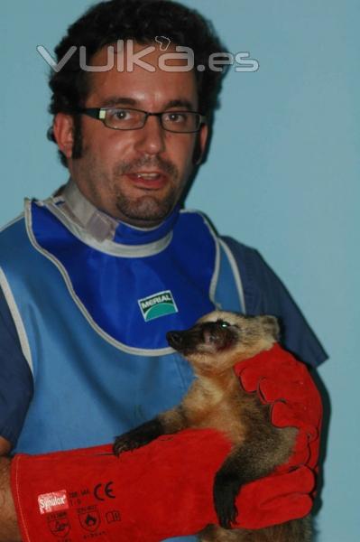 Diego con el Coati en sala de rayos x