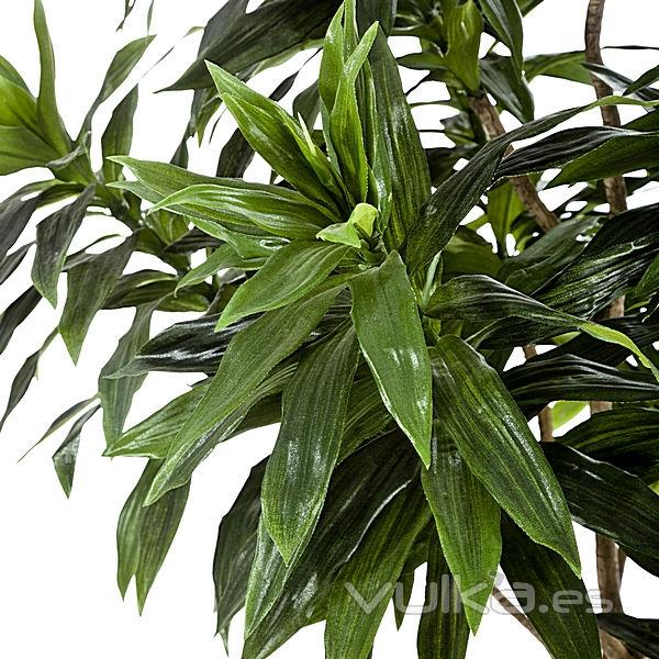 Arbol artificial dracaena reflexa 180 en lallimona.com (detalle 1)