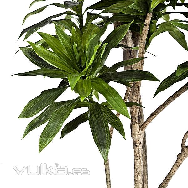 Arbol artificial dracaena reflexa 180 en lallimona.com (detalle 2)