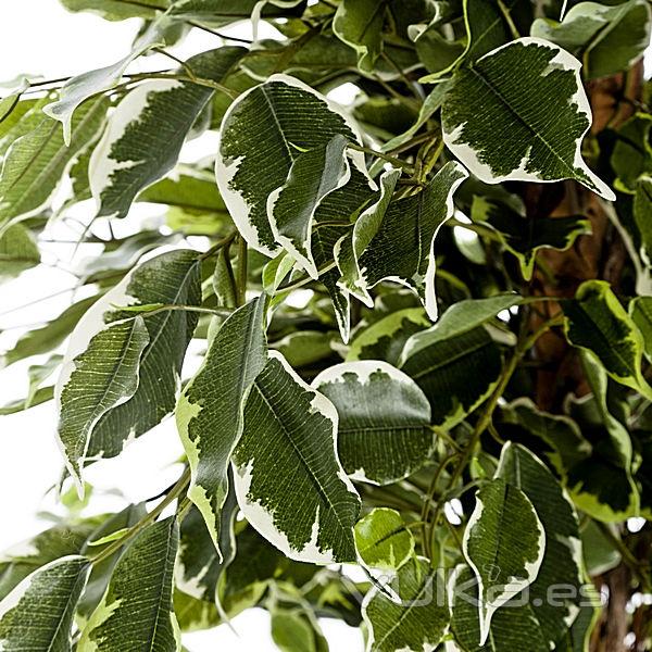 Arbol artificial ficus exotic 185 en lallimona.com (detalle 1)