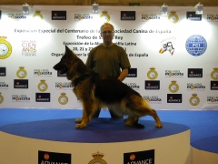 VILLAMPUERO CLUB DEPORTIVO CANINO