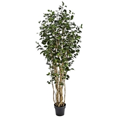 Arbol artificial ficus 180 en lallimonacom
