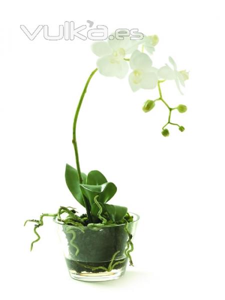 Orquideas de calidad. MACETA CRISTAL CON PHALAENOPSIS ARTIFICIAL oasisdecor.com