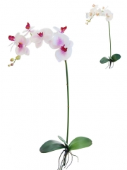 Orquideas artificiales de calidaad orquidea phalaenopsis artificial con hojas oasisdecorcom