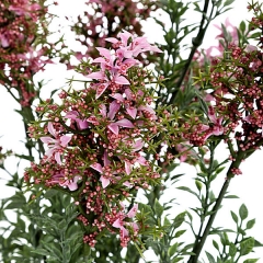 Ramas artificiales flores bush mini rosa en lallimonacom (detalle 1)
