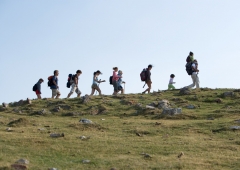 Excursiones en Mallorca Islas Baleares - Palmanova - Avda Son Caliu, 8 - Foto 9