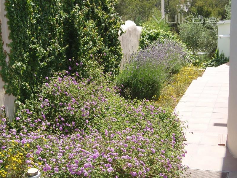 Jardn Mediterraneo 