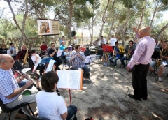 Foto 21 pianos en Alicante - Societat Musical L´altet