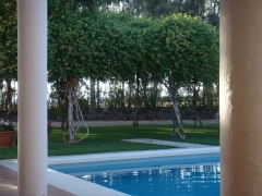 Diseno y ejecucion de jardin