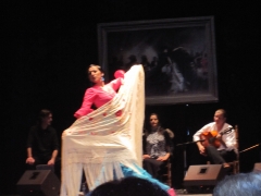 Espectaculo los pilares de flamenco