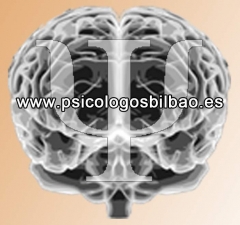 Wwwpsicologosbilbaoes