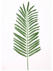 Hojas artificiales economicas hoja cyca artificial pequena oasisdecorcom