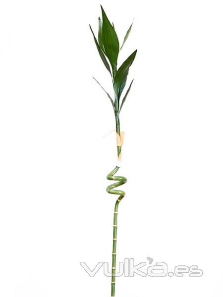 Bambu artificial de la suerte. RAMA BAMBU DE LA SUERTE ARTIFICIAL oasisdecor.com