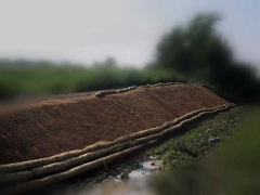 A lomo de biorrollos cabalga el medio ambiente