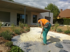 Realizacion camino jardin