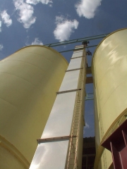 Elevador de cangilones