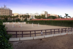 La hipica caballos valencia