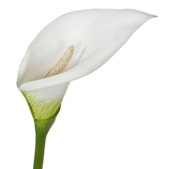 Flor artificial cala blanca 75 en lallimonacom