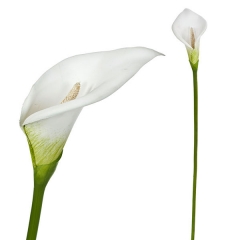 Flor artificial cala blanca 75 en lallimonacom