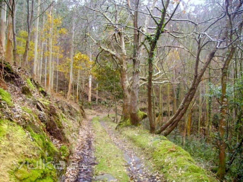 Ruta para hacer en Castrovaselle