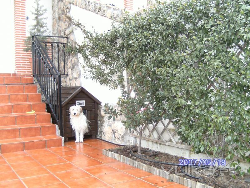 Residencia canina familiar