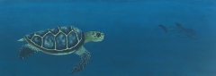 Cuadro tortuga carey y tiburon ballena