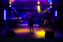 The covers musica profesional para eventos - foto 9