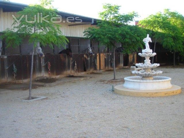 Patio interior y boxes