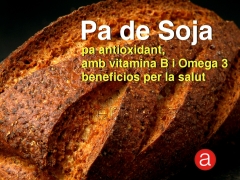 Pa de soja