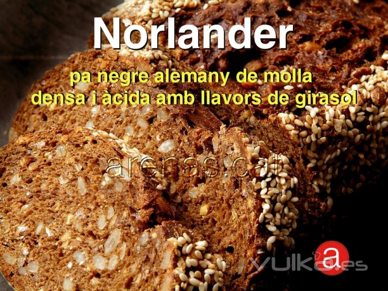 Pa Norlander